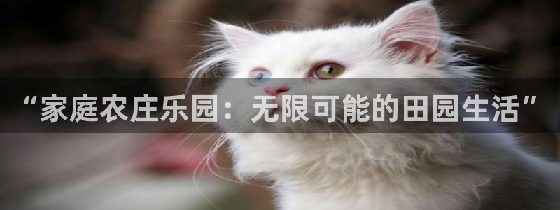 qq琳琅科技娱乐机器人