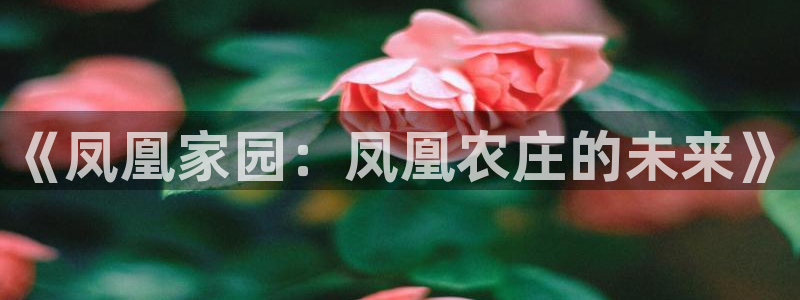 琳琅科技娱乐qq机器人词库