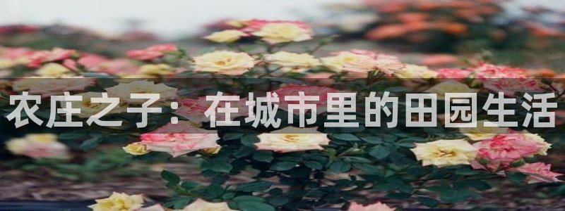 琳琅娱乐注册登录官网