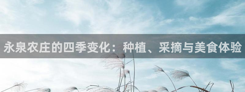 琳琅娱乐场所有哪些