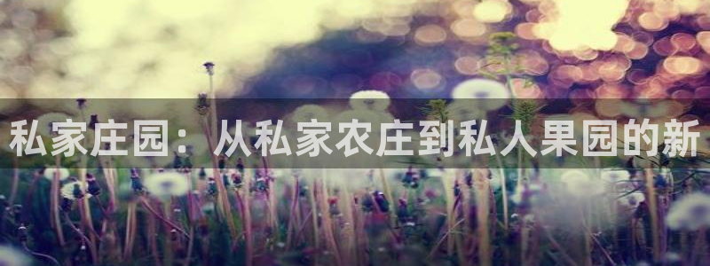 琳琅娱乐注册资金多少