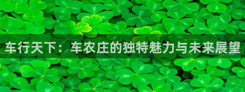 琳琅科技娱乐qq机器人词库