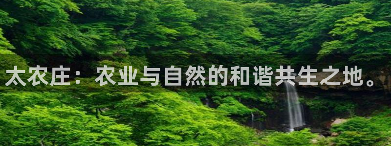 琳琅娱乐信誉33300