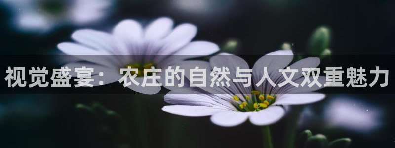 琳琅作者娱乐圈女主