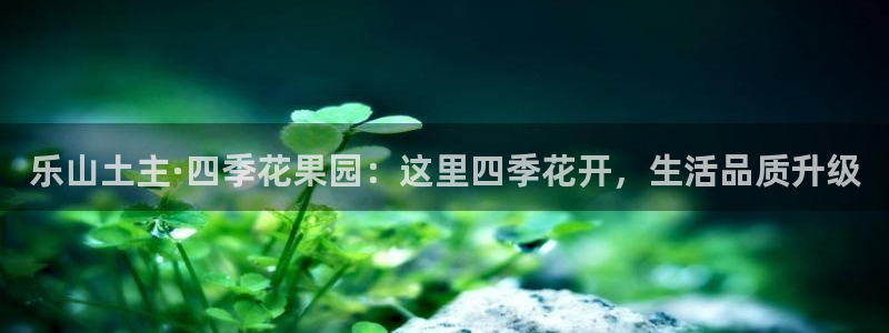 琳琅娱乐注册登录