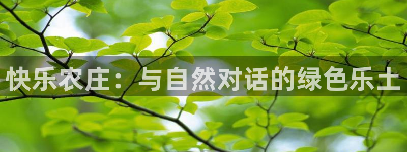 琳琅娱乐信誉33300