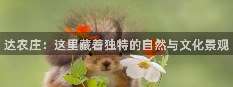 琳琅国际娱乐会所地址