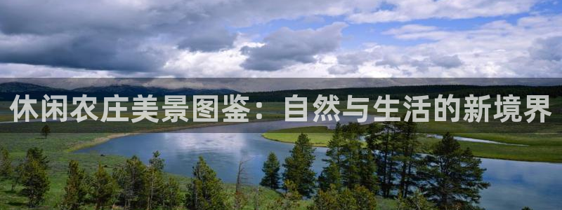 琳琅娱乐社区宅男