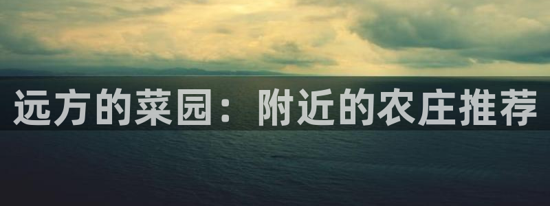 琳琅娱乐组飞车