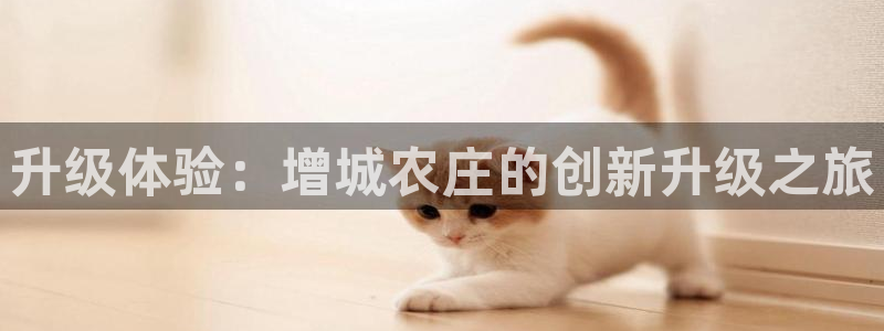 琳琅娱乐在线观看