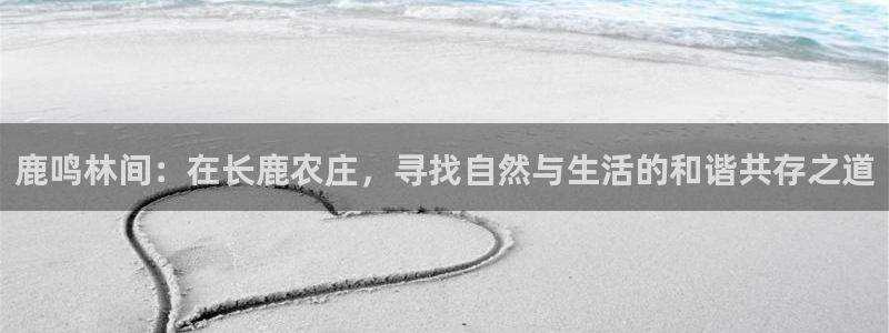 琳琅娱乐登录