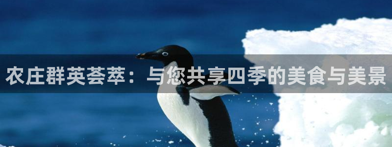琳琅娱乐免费线上观看