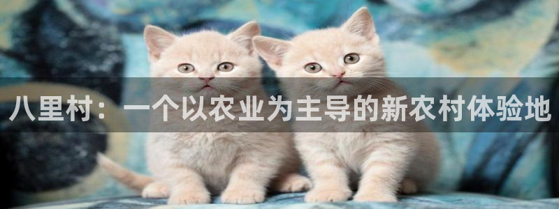 琳琅娱乐工作室地址