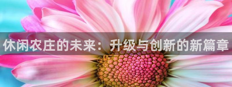 琳琅娱乐总代