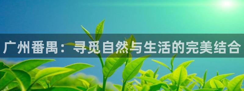 琳琅谈娱乐