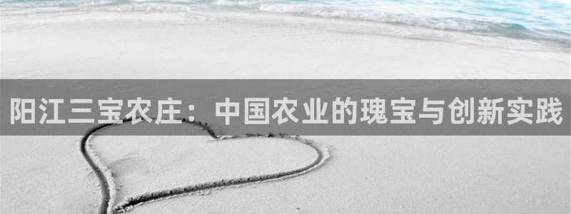 琳琅娱乐组飞车