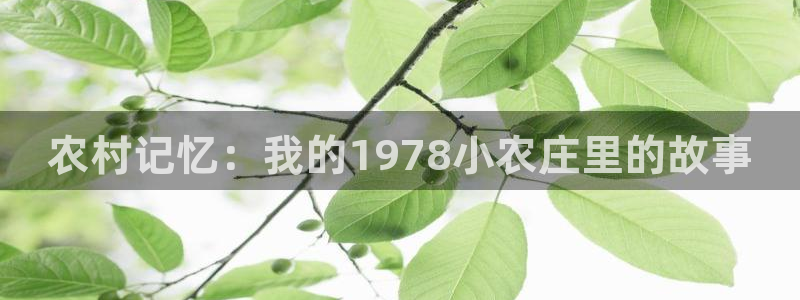 琳琅娱乐平台是真的吗