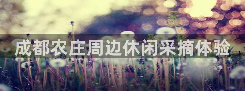 琳琅娱乐官网