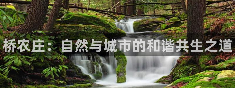 琳琅娱乐登入