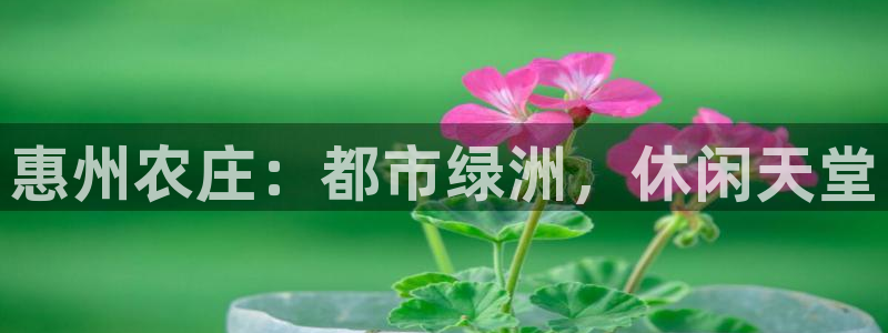 琳琅社区娱乐视频