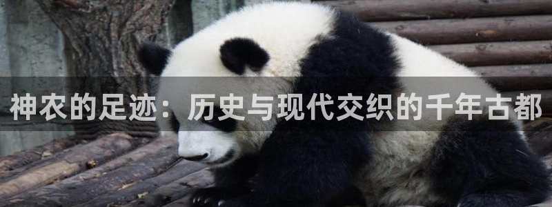 琳琅娱乐除7O777